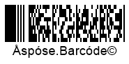 Compact PDF417 Barcode