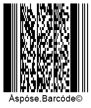 Macro PDF417 Barcode