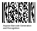 Micro PDF417 Barcode