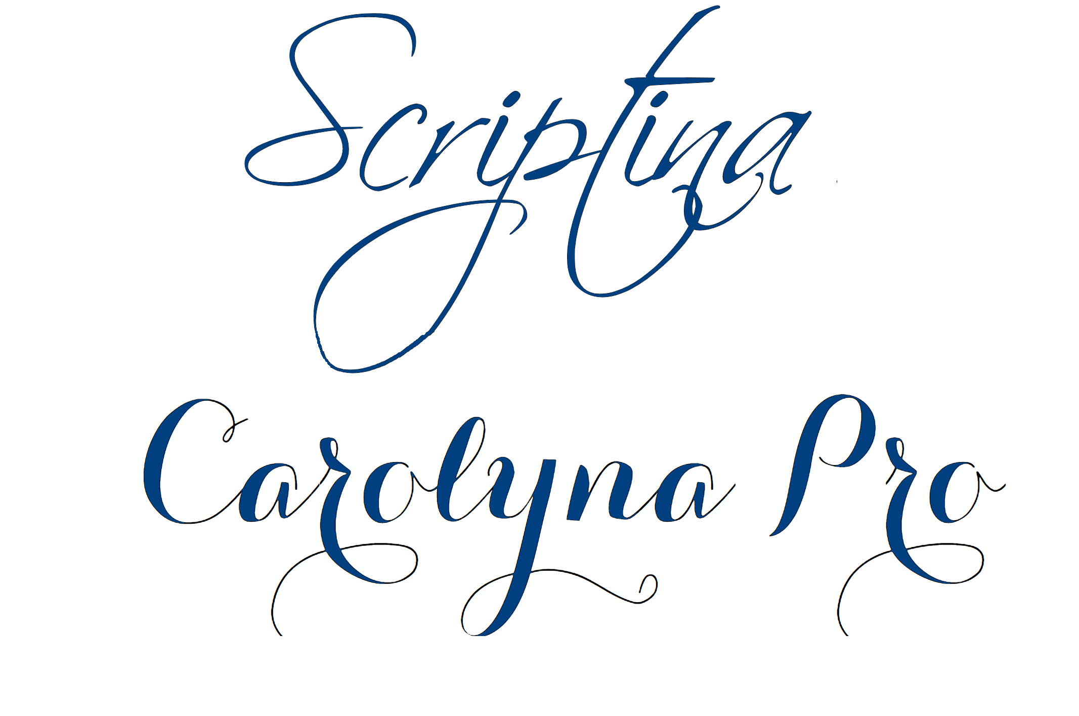 Exemples d’écritures calligraphiques