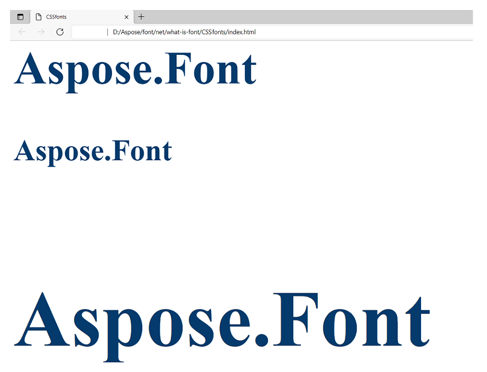 Text rendered in different font sizes CSS