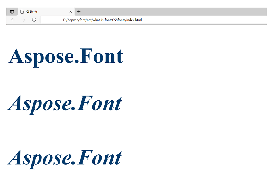 Text rendered in different font styles CSS