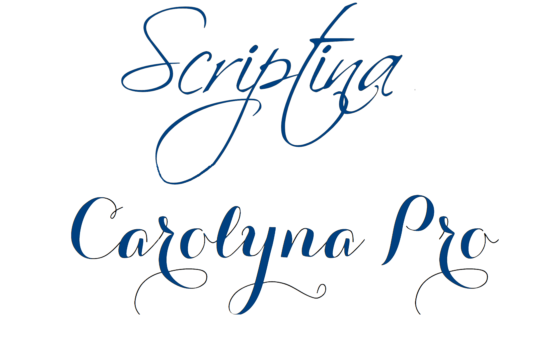 Examples of calligraphic scripts