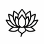 The lotus picture