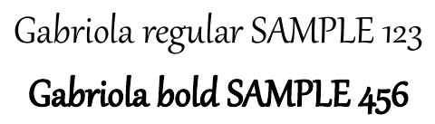PDF with unsupported font style rasterization disabled