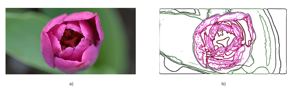 Raster tulip image and color SVG stencil created with StencilType.AUTO in Python