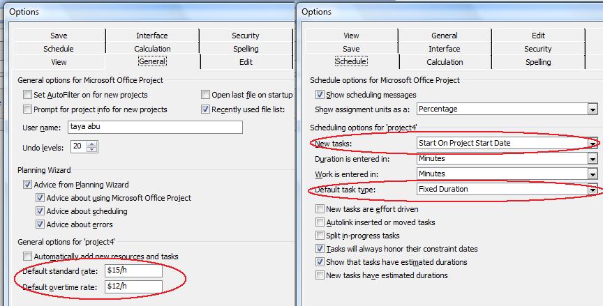 show default project properties in Microsoft Project
