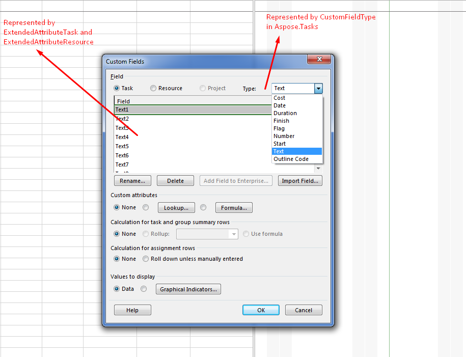 edit extended attributes in Microsoft Project