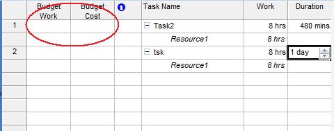 Budgetspalten in Microsoft Project 2019 anzeigen