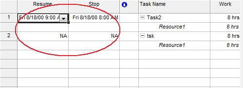 Überprüfung der Ressourcenzuweisungen Stop-/Lebenslaufdaten in Microsoft Project 2013