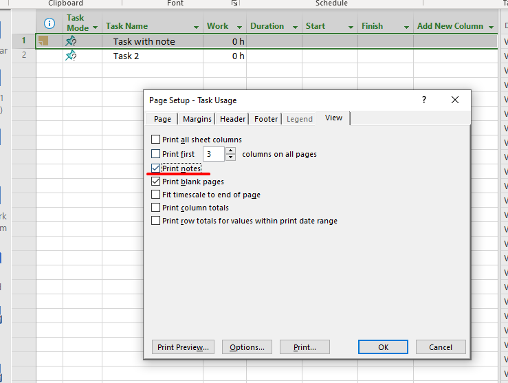 Print notes setting in MS Project